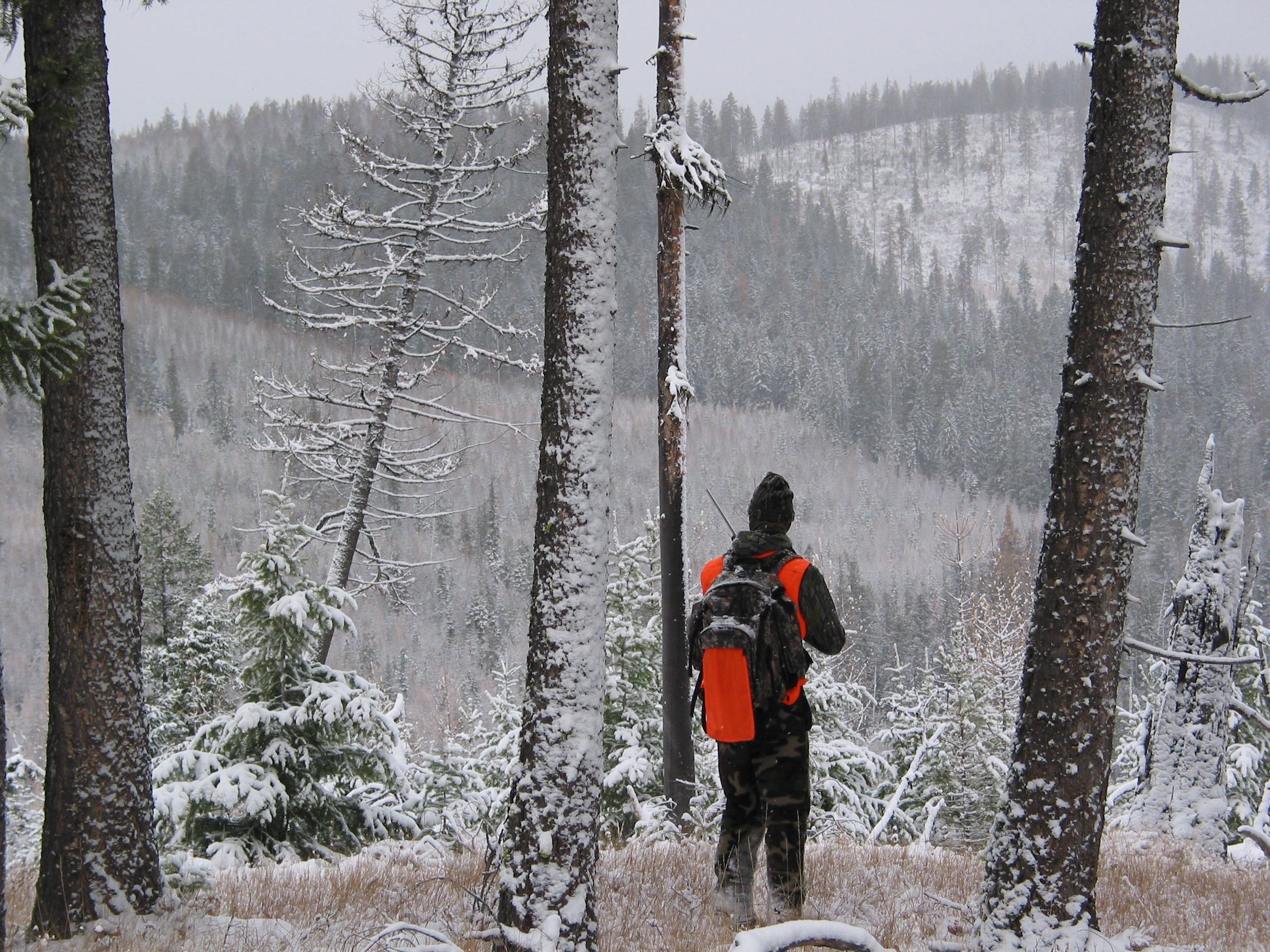 iStock-139670886 iStock-139670886