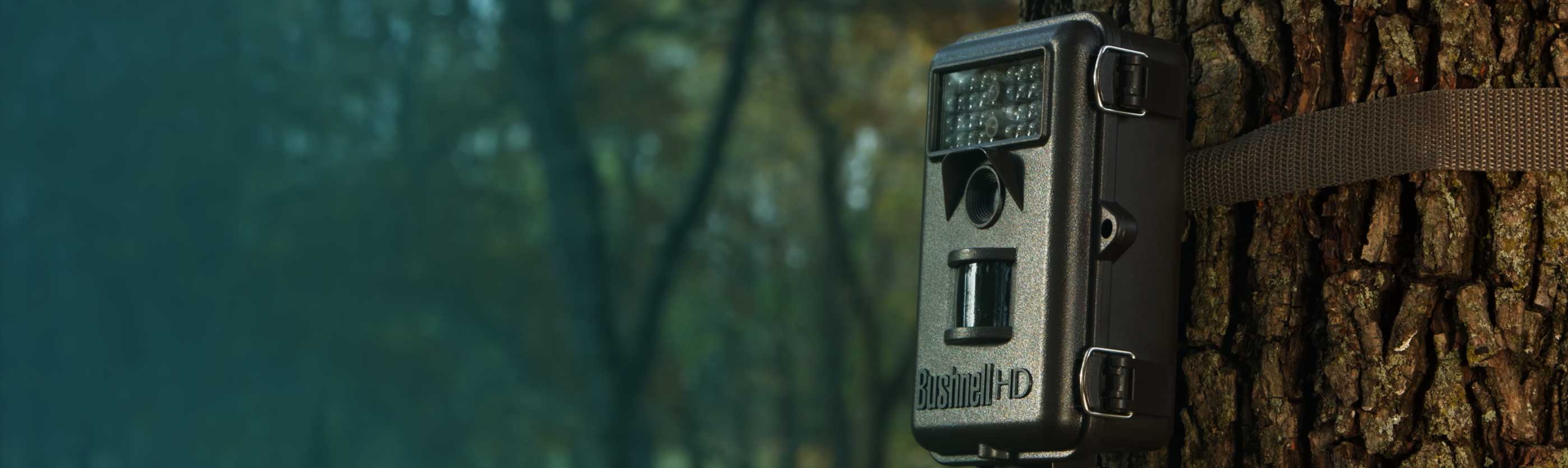 page-header-bushnell page-header-bushnell